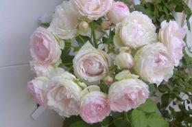 Le Mascaret - photo 6