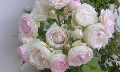 Le Mascaret - photo 3