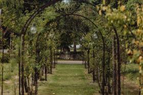 Les Manoirs des Portes de Deauville - photo 21