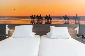 Novotel Deauville Plage - photo 13