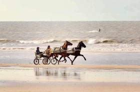 ibis Budget Deauville - photo 22